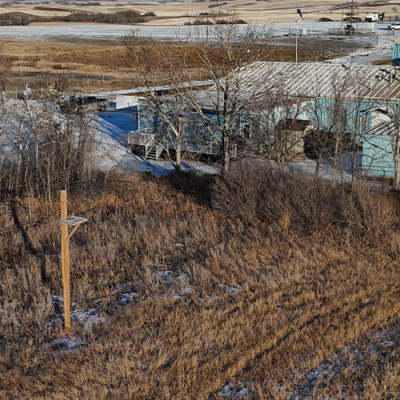 Bird platform in a field